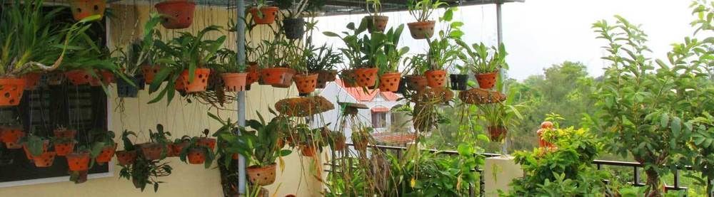 Leaf Homestay Hoi An Dış mekan fotoğraf