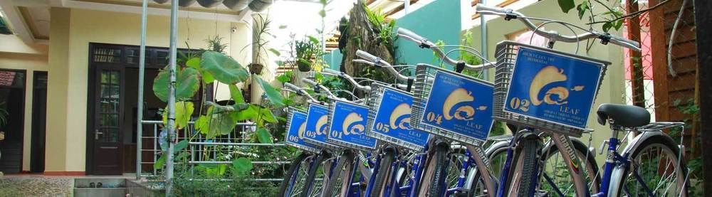 Leaf Homestay Hoi An Dış mekan fotoğraf