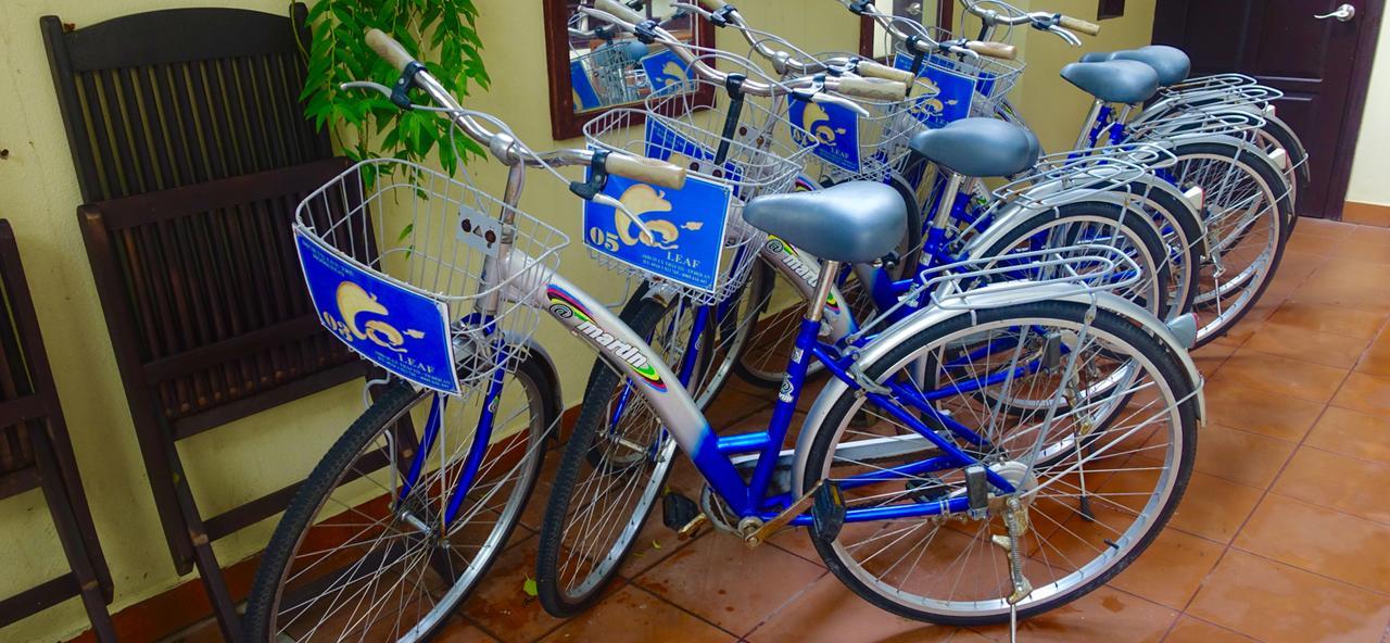 Leaf Homestay Hoi An Dış mekan fotoğraf