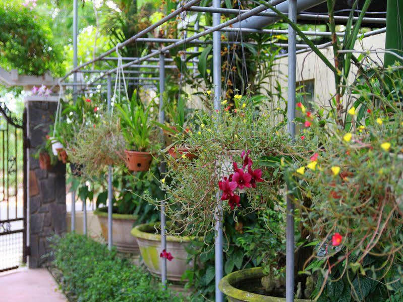 Leaf Homestay Hoi An Dış mekan fotoğraf