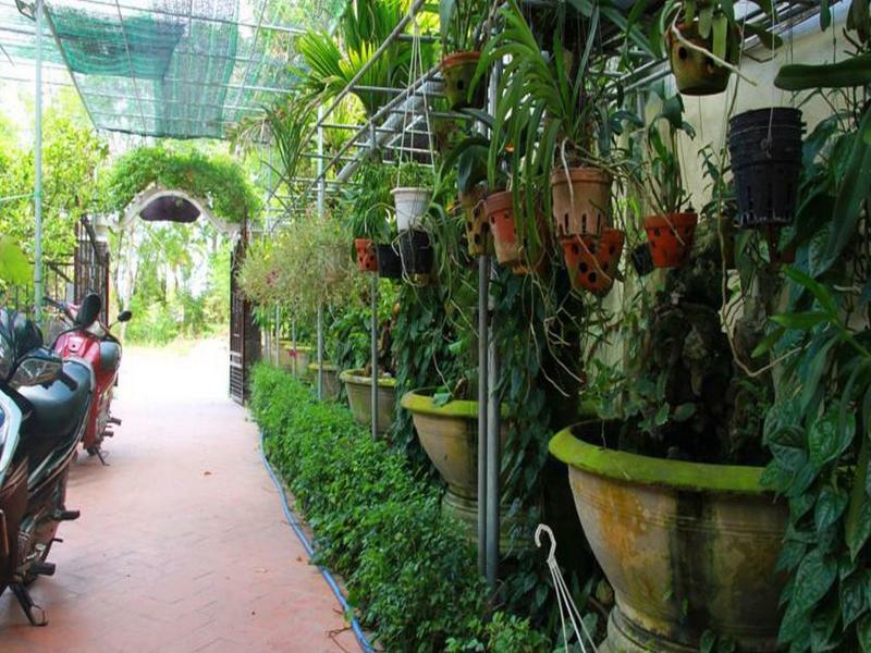 Leaf Homestay Hoi An Dış mekan fotoğraf