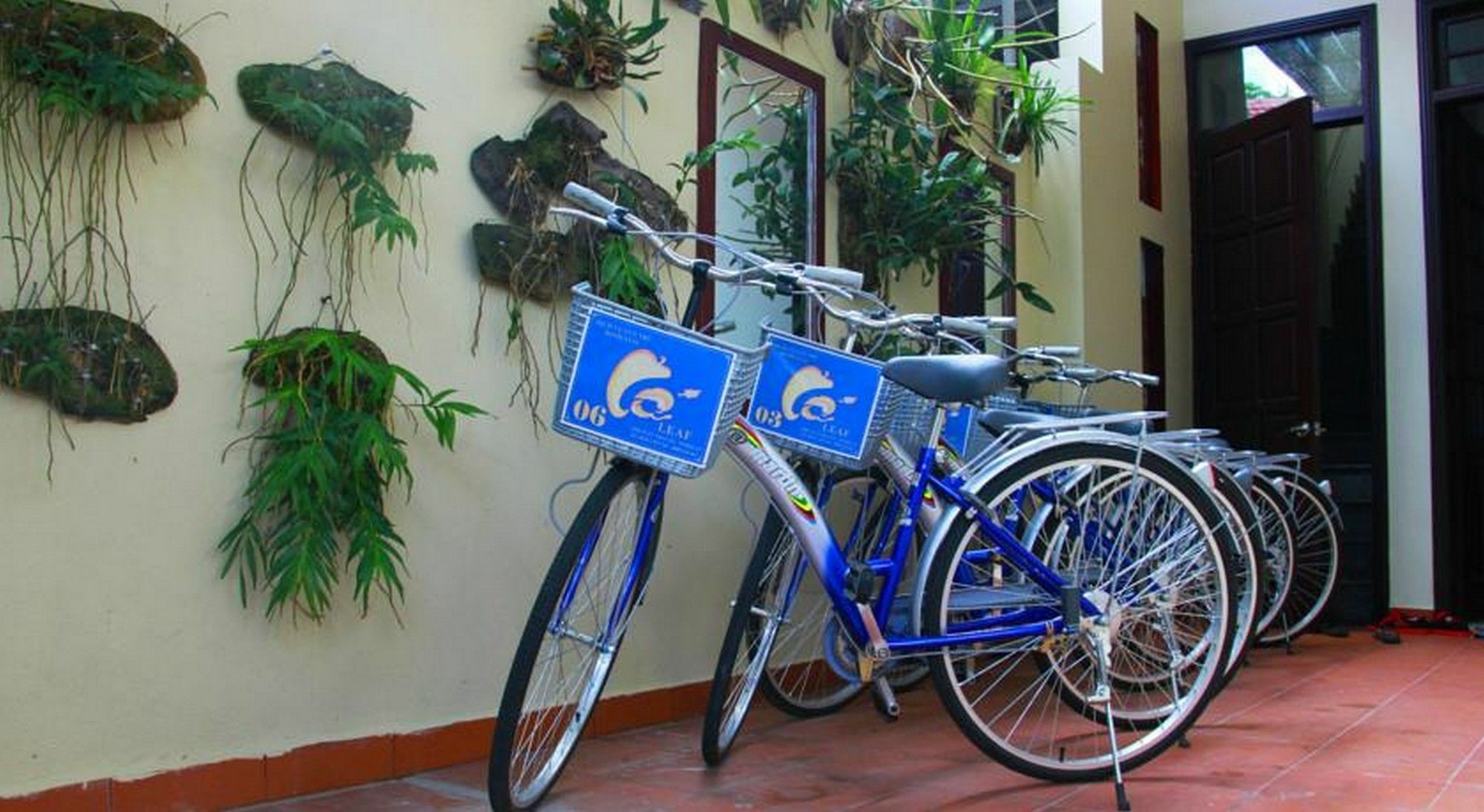 Leaf Homestay Hoi An Dış mekan fotoğraf